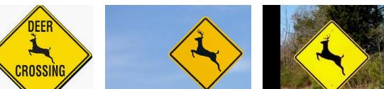 deer warning devices for cars