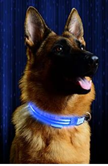 pet industries led dog collar