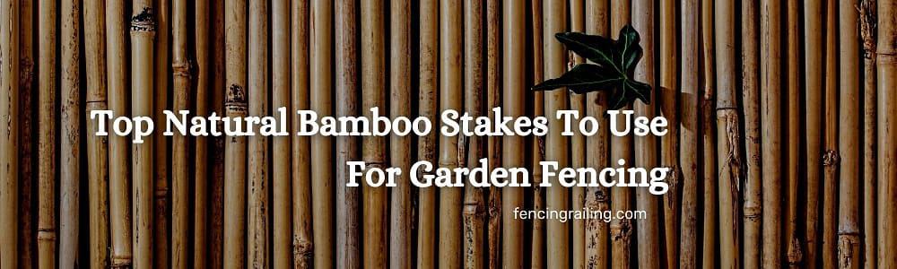bamboo sticks for plant support