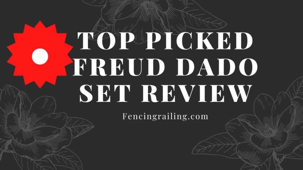 Freud dado set review