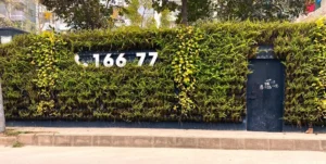 Wall fence greenery