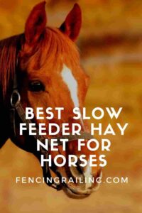best slow feeder hay net for horses