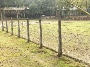 barbed wire fence in bangladesh