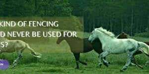 safe fencing for horses