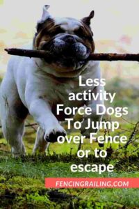 dog jumping fence solutions
