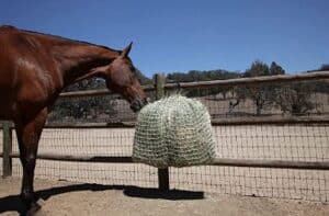 best slow feed hay net for horses