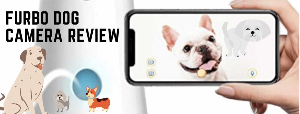 furbo dog camera review