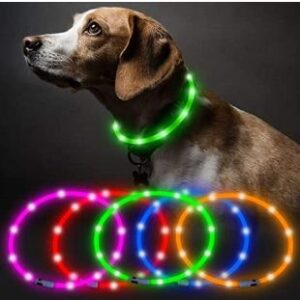 led dog collar rechargeable