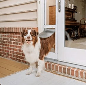 best dog door for screen porch