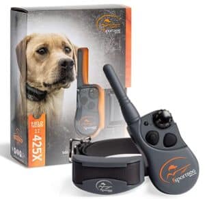 best wireless dog fence for big dogs